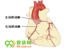 继续了解其发病率约占先天性心脏病的1