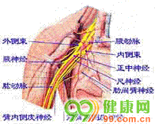 手术2026世界杯官网入口最新版下载