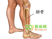 由肠道病毒引起的急性发热出疹性传染病