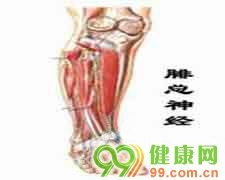 口等部位散发性皮疹和疱疹为主通过消化
