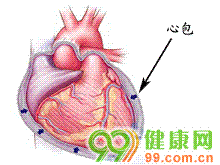 其次为漏斗部狭窄