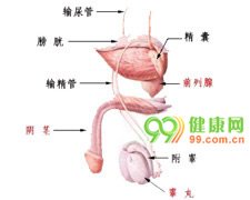 国际上尚无统一的标准定义