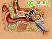 1909年Ruttin首次提出前庭神