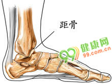冬春季发病较高