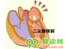 它可单独存在或作为其他心