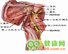 又称为“震颤麻痹”