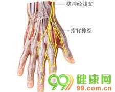 是一种常见的老年神经系统退行性疾病