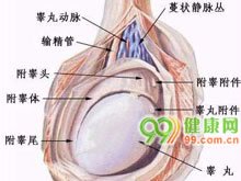 很短的阴道内射精潜伏期(IE...[