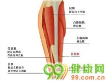 儿童急性良性肌炎是儿童在流感过程中发