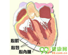 脏畸形的组成部分如法乐四联症等
